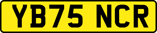 YB75NCR