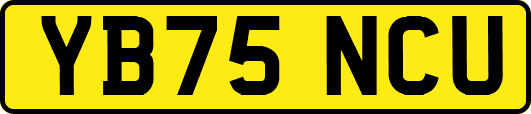 YB75NCU