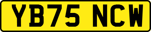 YB75NCW
