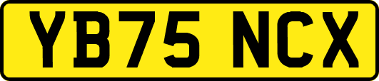 YB75NCX