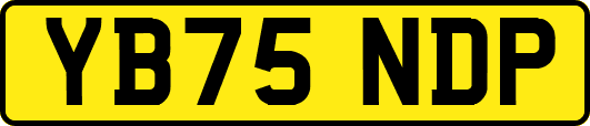YB75NDP