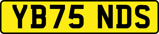 YB75NDS