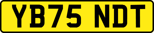 YB75NDT