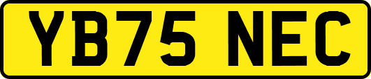 YB75NEC