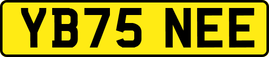 YB75NEE