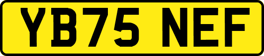 YB75NEF