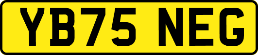 YB75NEG