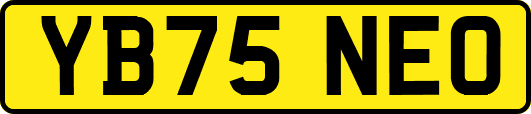 YB75NEO