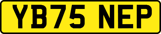 YB75NEP