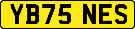YB75NES