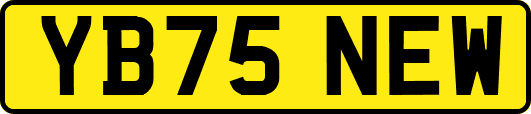 YB75NEW