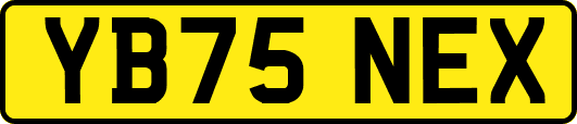 YB75NEX