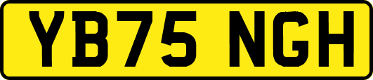 YB75NGH