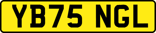 YB75NGL