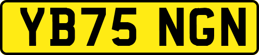 YB75NGN