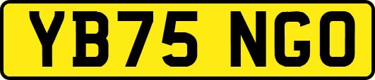 YB75NGO
