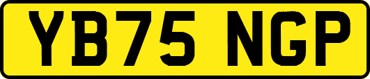 YB75NGP