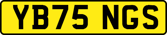 YB75NGS
