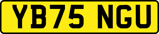 YB75NGU