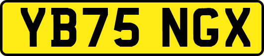 YB75NGX