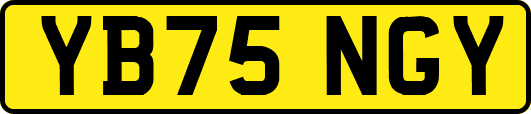 YB75NGY