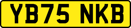 YB75NKB
