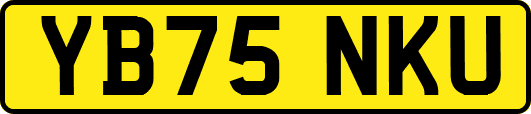YB75NKU