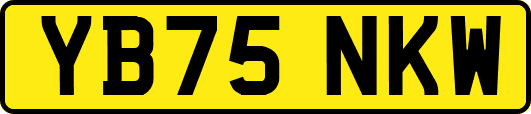 YB75NKW