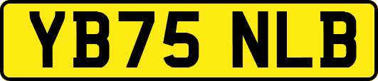 YB75NLB