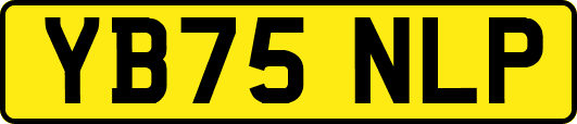 YB75NLP