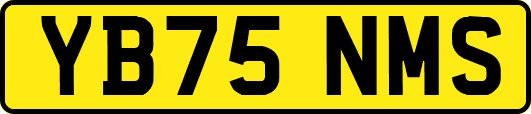 YB75NMS