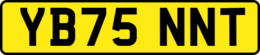 YB75NNT