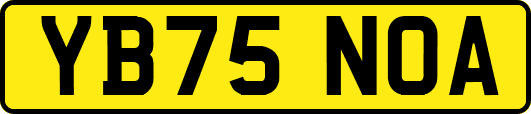 YB75NOA
