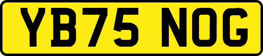 YB75NOG