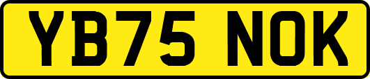 YB75NOK