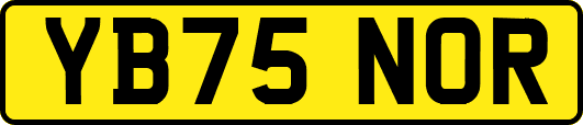 YB75NOR