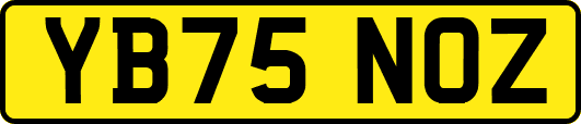 YB75NOZ