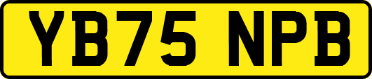 YB75NPB