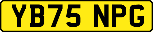 YB75NPG