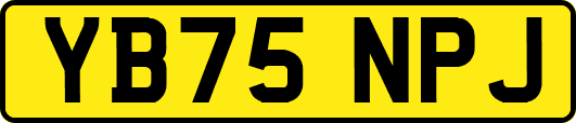 YB75NPJ