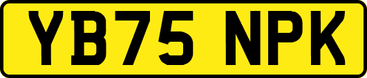 YB75NPK
