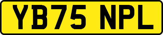 YB75NPL