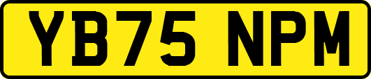 YB75NPM
