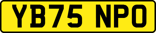 YB75NPO