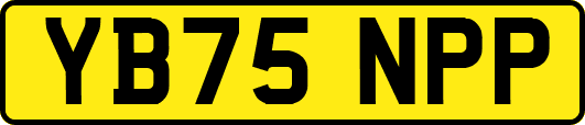 YB75NPP