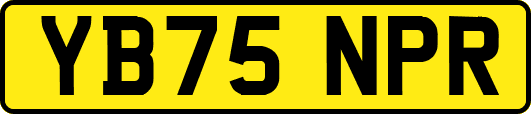 YB75NPR