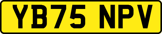 YB75NPV
