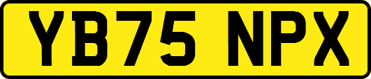 YB75NPX