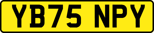 YB75NPY