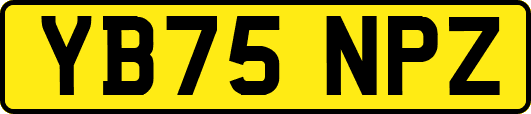 YB75NPZ